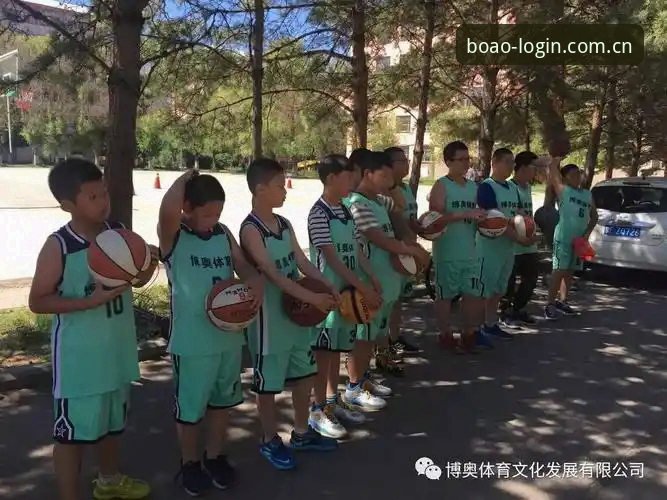 博奥体育平台登录教程详解